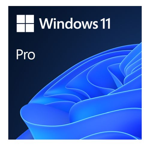 Microsoft Windows 11 Pro 64bit English OEI DVD